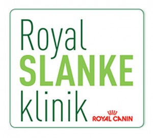 Slanke-klinik